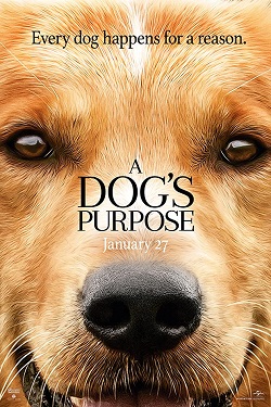 دانلود فیلم A Dog’s Purpose 2017