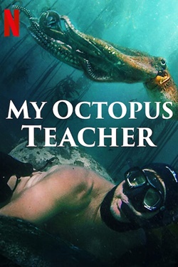 دانلود فیلم My Octopus Teacher 2020