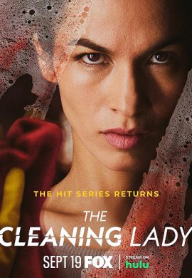 دانلود سریال The Cleaning Lady